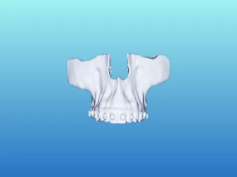 Biomodelos